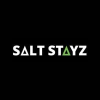 About SaltStayz Hotels logo