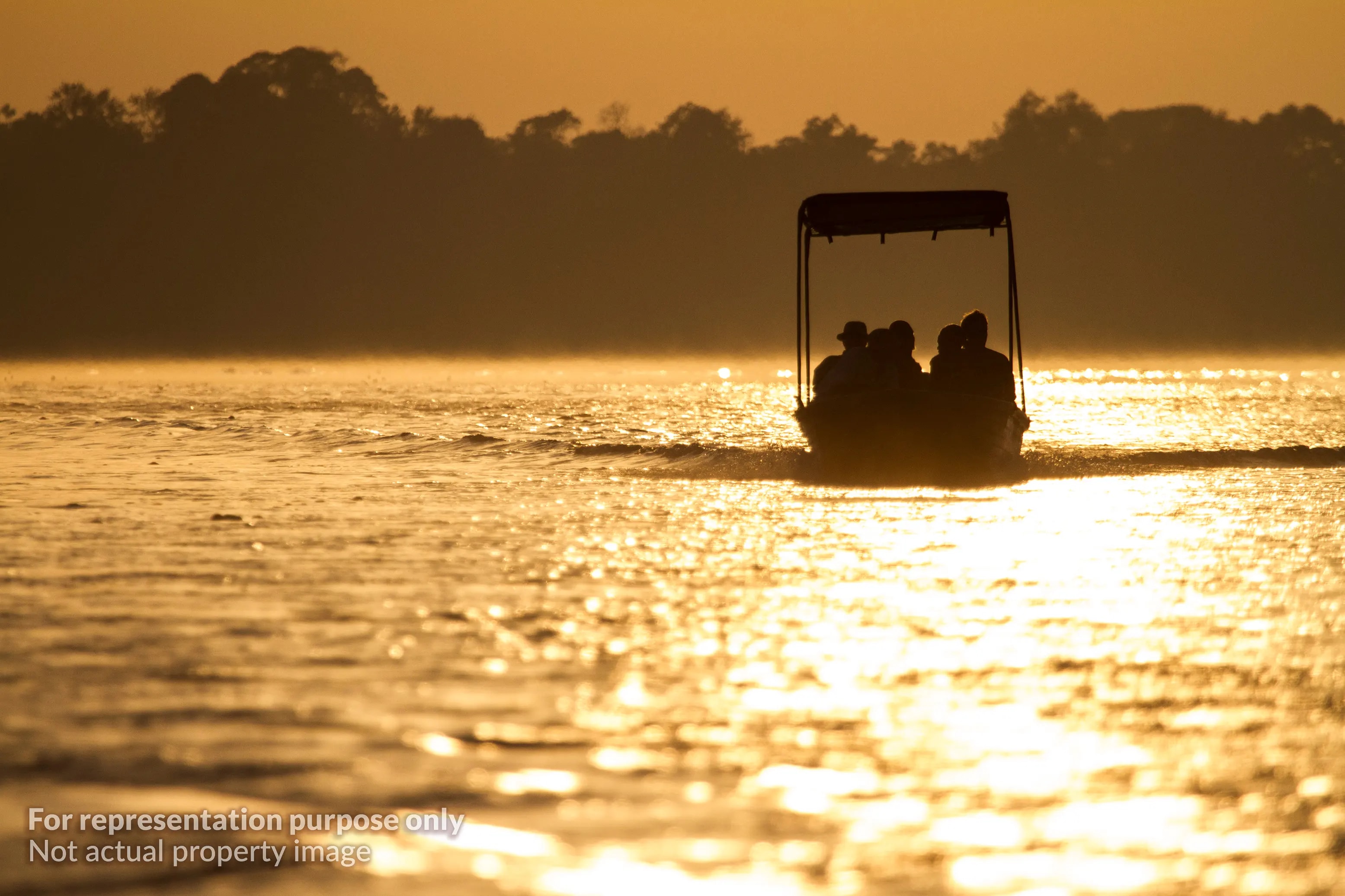 Shikara & Boat Rides