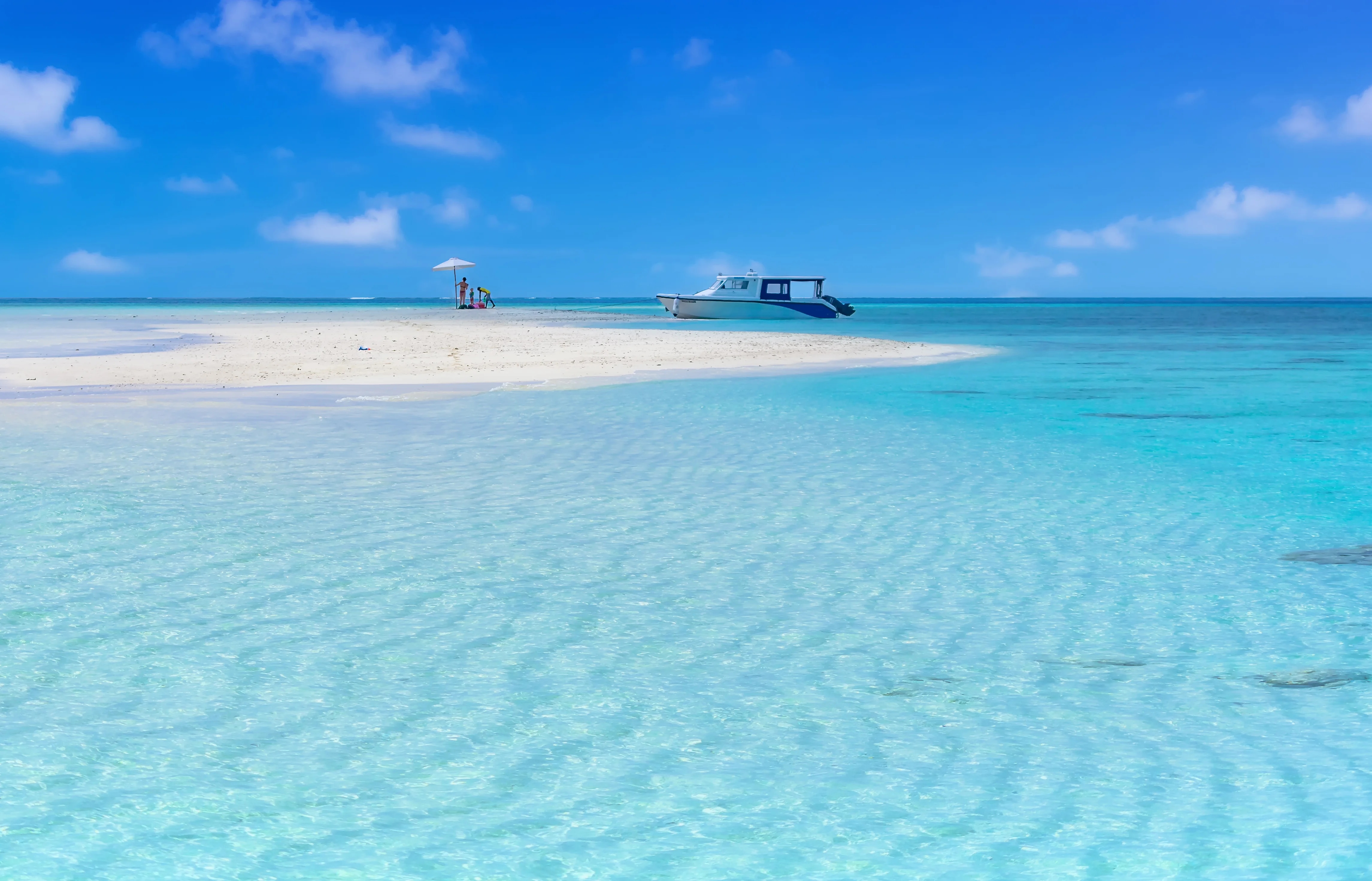 Island Tours & Immersive Experiences