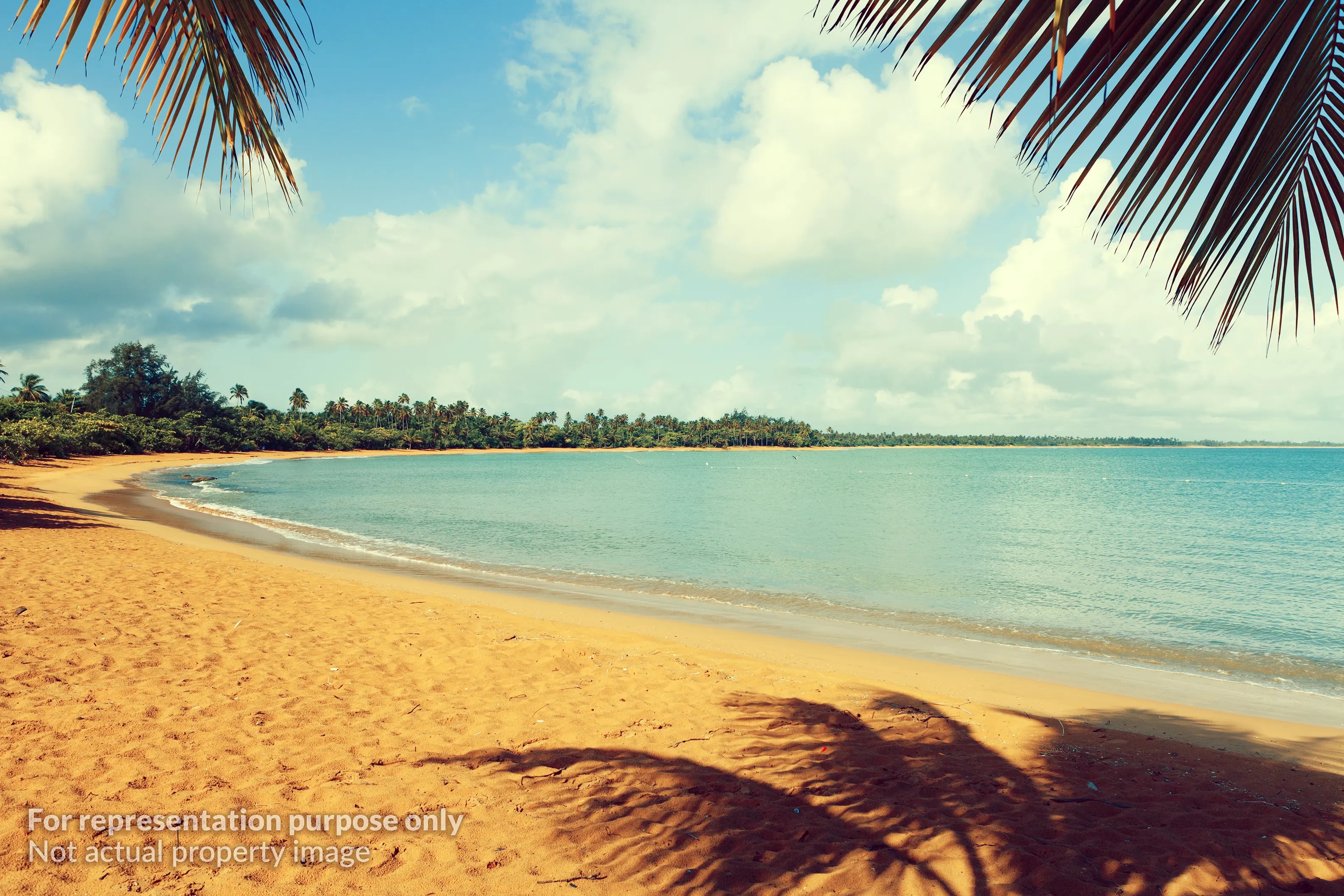 Beachfront Location