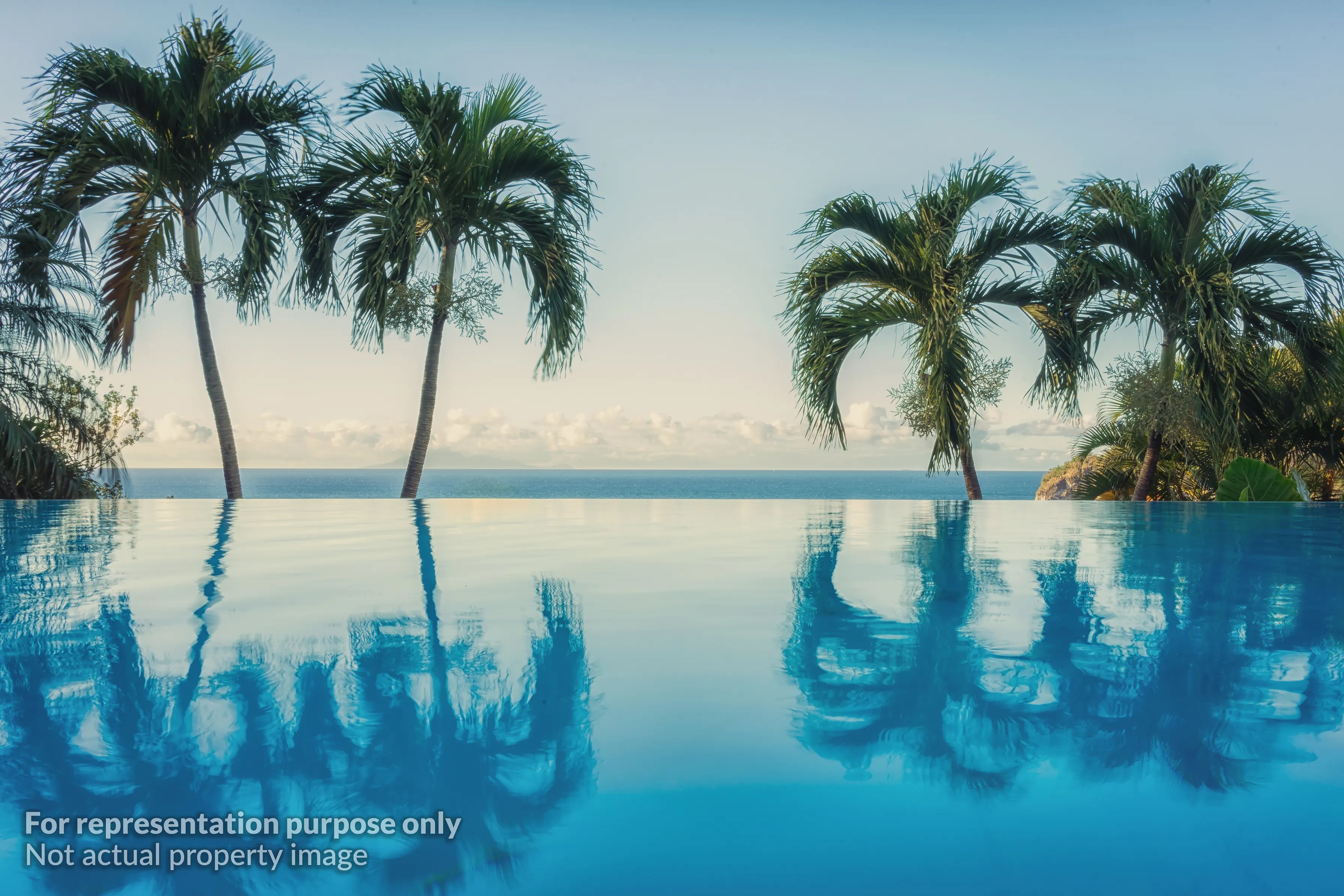 Infinity Pool
