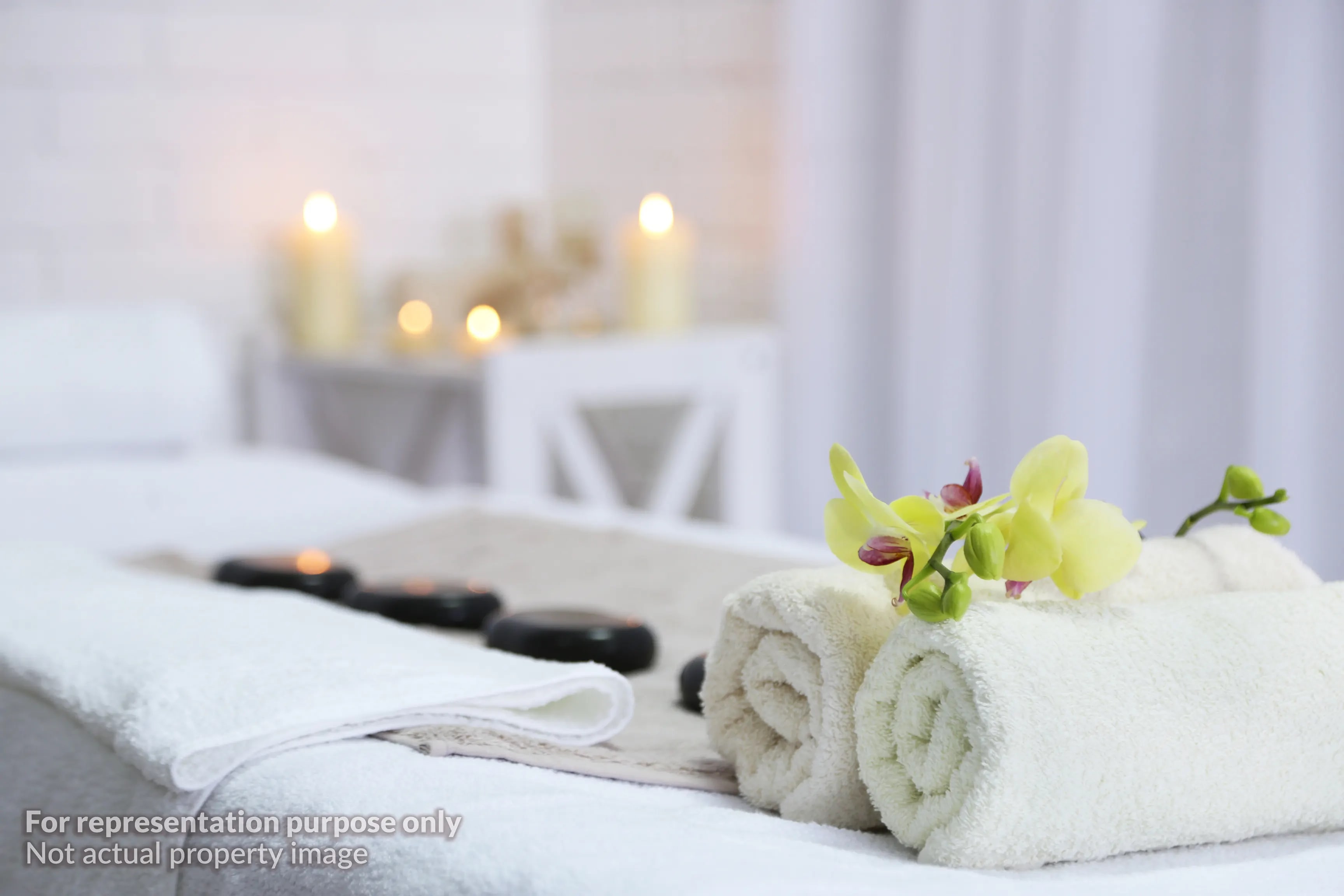 Ayurvedic Wellness Therapies