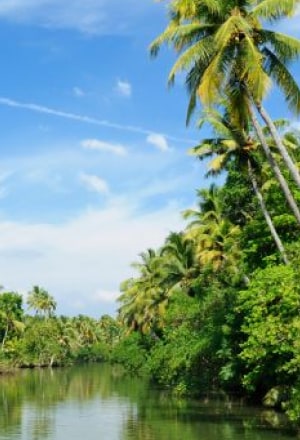 Nature Getaways