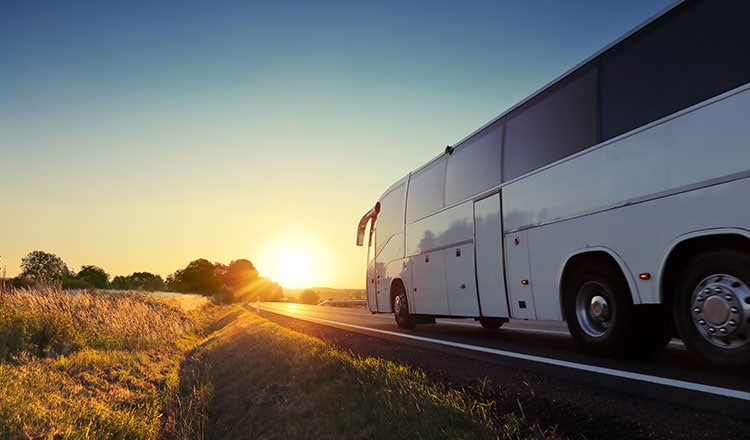 MakeMyTrip logo