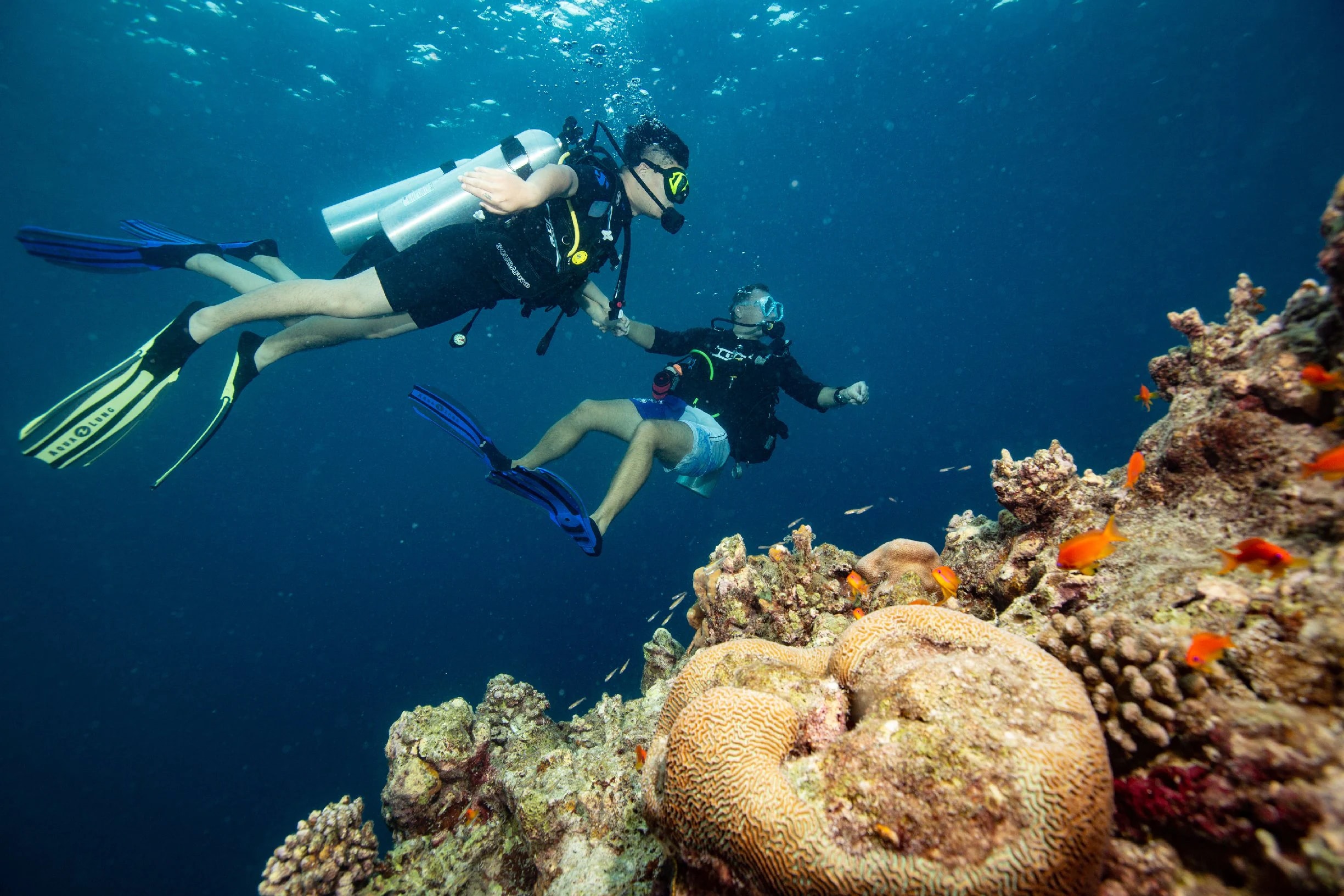 Thrilling Diving & Snorkelling