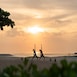 Yoga on the Beach