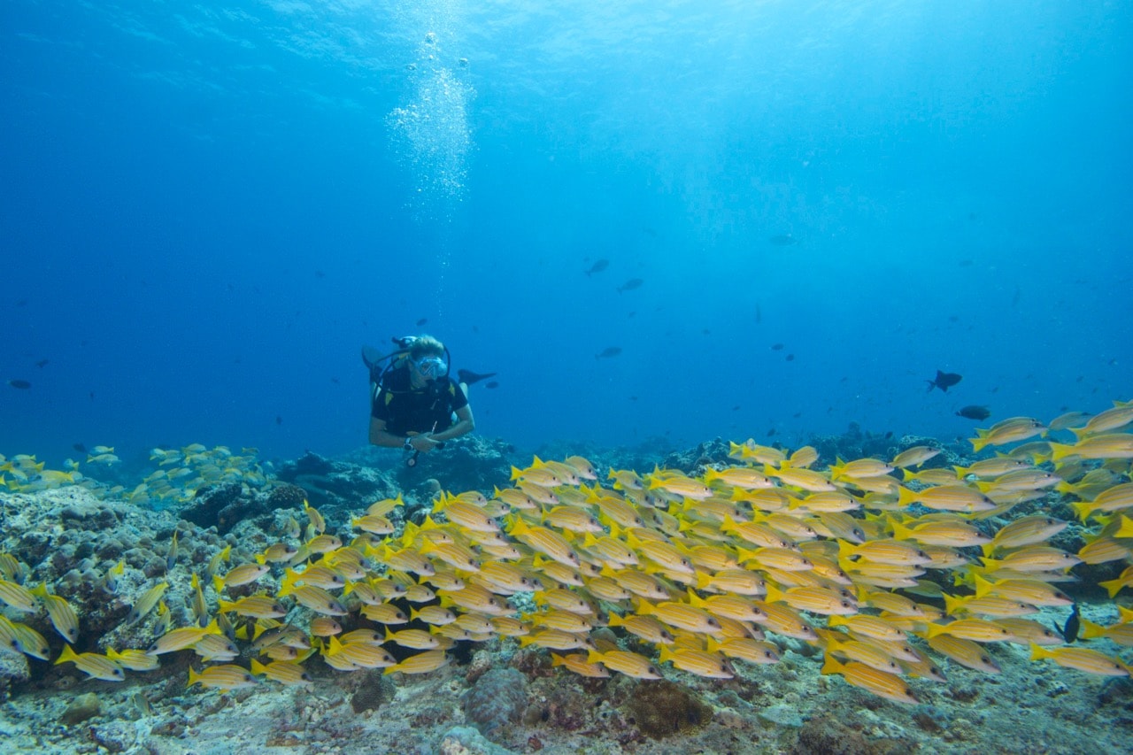 Meridis Dive & Relax