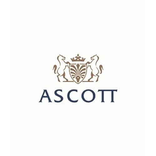 About The Ascott Limited logo
