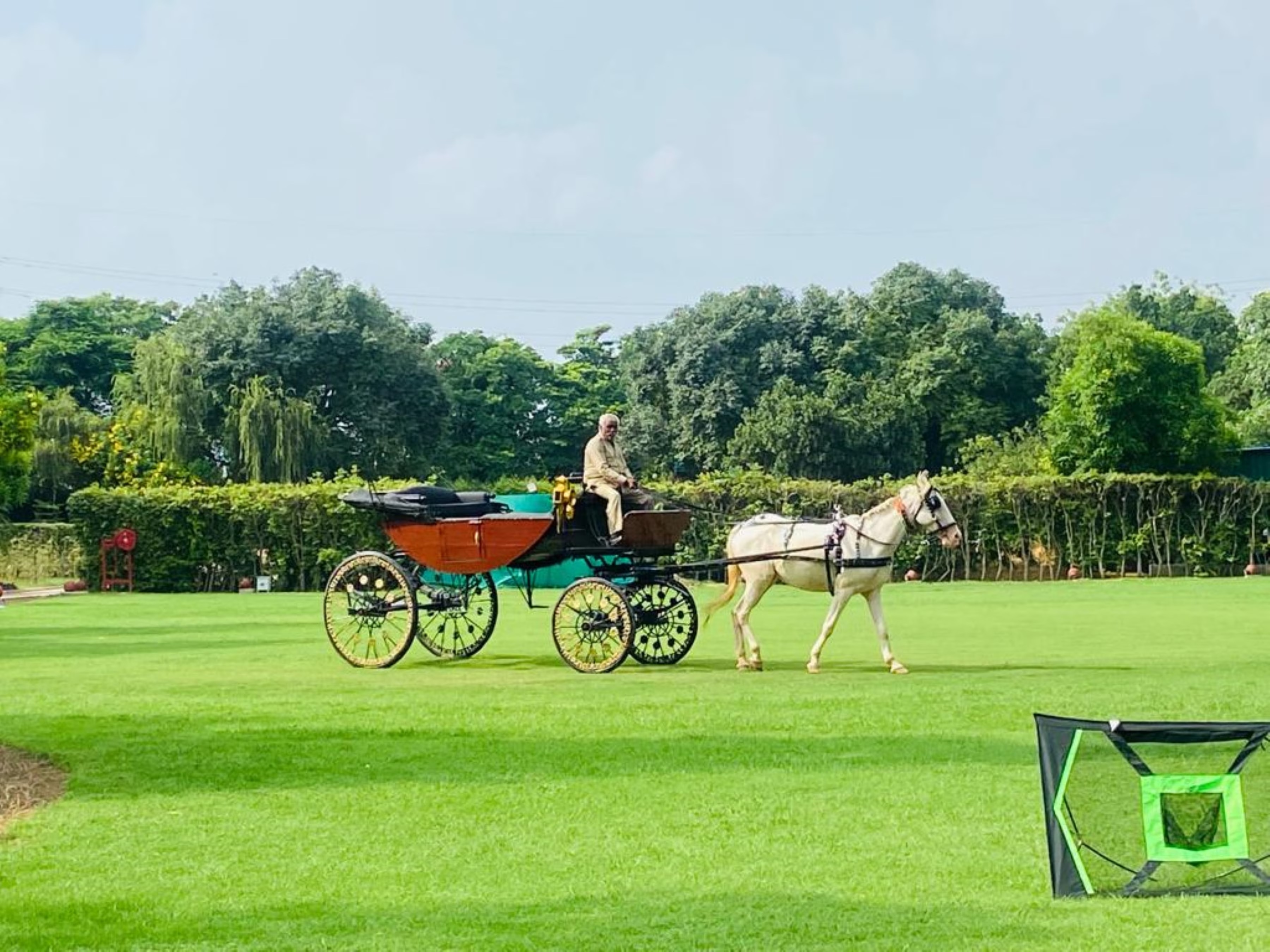 Victorian Carriage Rides
