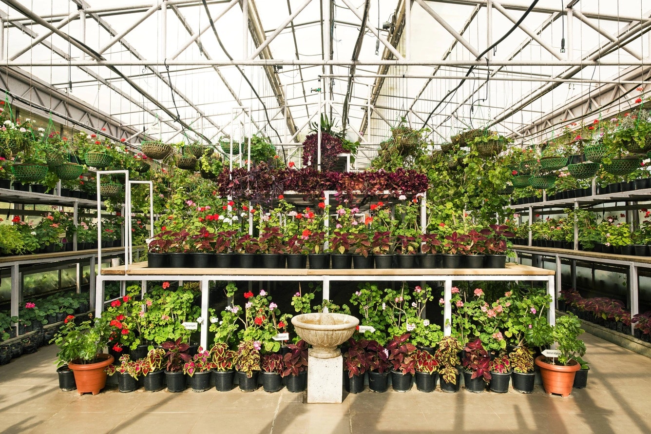 Guided Garden Tour
