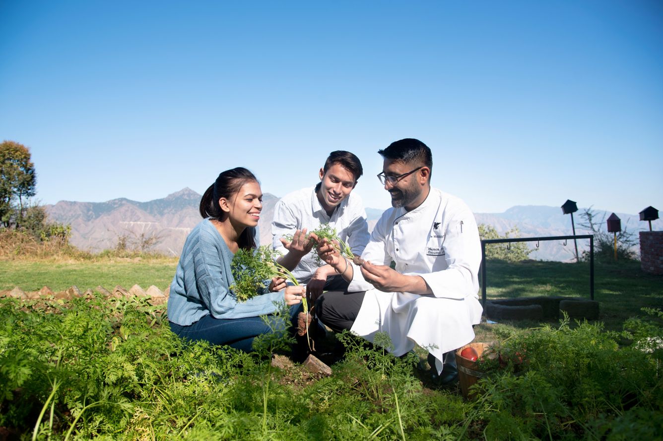 Planting Trees
